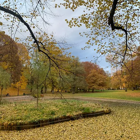 Oslo * Lii